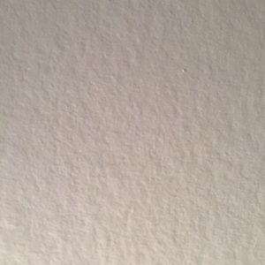 Meet your Posher, Frankie